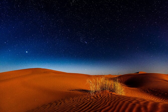 Doha Night Desert Safari, Stargazing, Photography، Relaxation - Choosing a Camel Ride