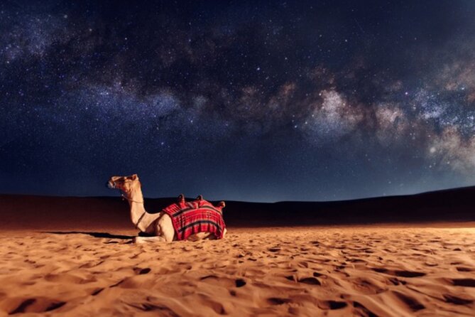 Doha Night Desert Safari, Stargazing, Photography، Relaxation - How the Timing Works