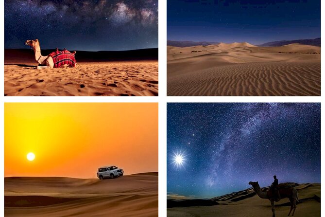 Doha : Night Desert Safari | Transit Safari | Camel ride | Dune Bashing - Key Things to Know Before You Book