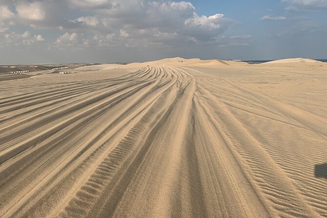 Doha : Night Desert Safari | Transit Safari | Camel ride | Dune Bashing - What the $59 Price Really Covers