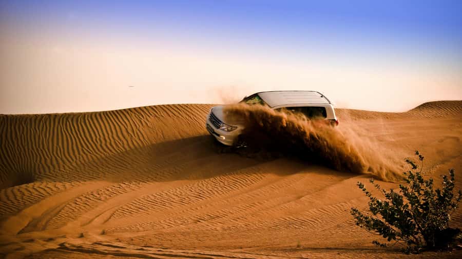 Doha: Night Desert Safari with Camel Ride and Sandboarding - Key points at a glance