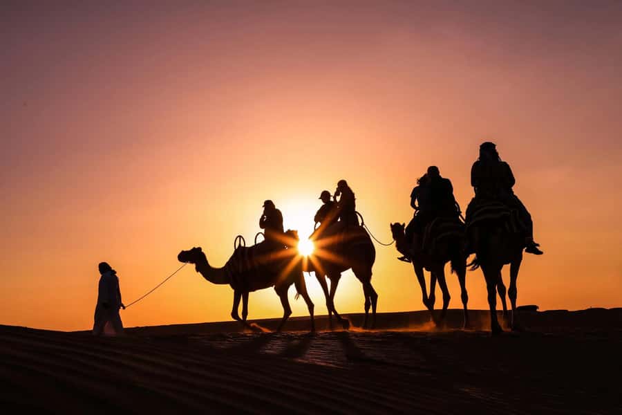 Doha: Night Desert Safari with Camel Ride and Sandboarding - A 20-minute camel ride near the Inland Sea