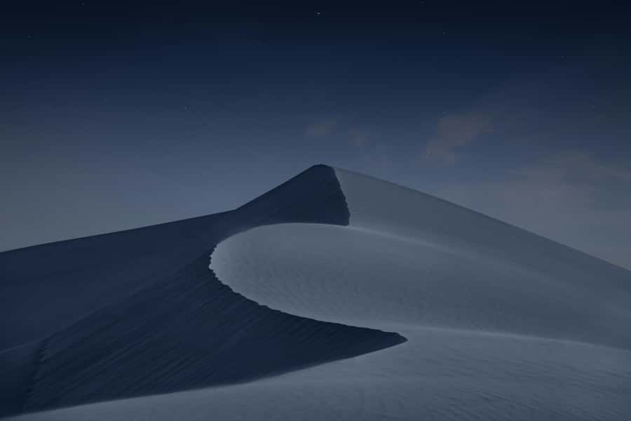 Doha: Night Desert Safari with Camel Ride and Sandboarding - A short break beneath the stars