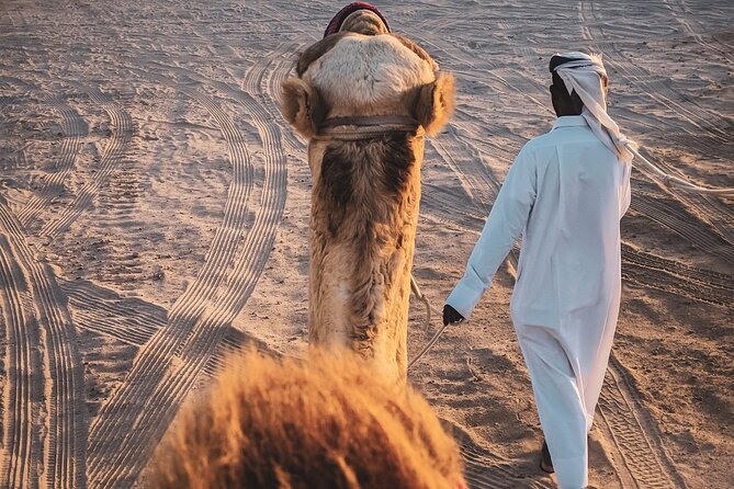 Doha-Night Desert Safari with Sand Board and Camel Ride - Key points to know before you go