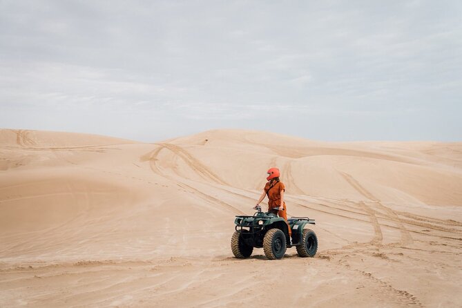 Doha-Night Desert Safari with Sand Board and Camel Ride - Sandboarding on the open dunes
