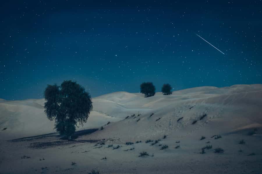 Doha: Night Desert Safari With Stargazing and Inland Sea - Sandboarding from the highest dunes