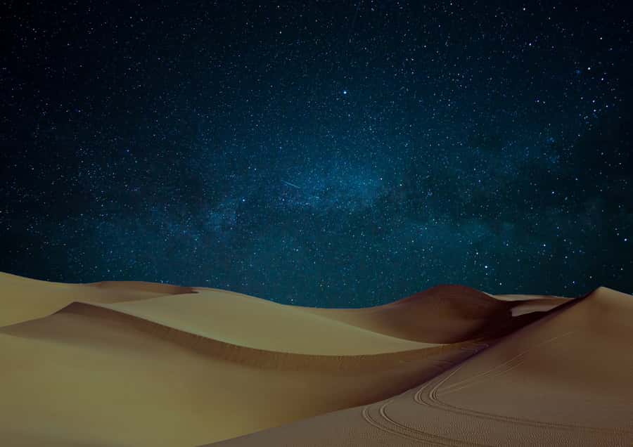 Doha: Night Desert Safari with Stargazing & Camel Ride - How the $40 price compares with the experience