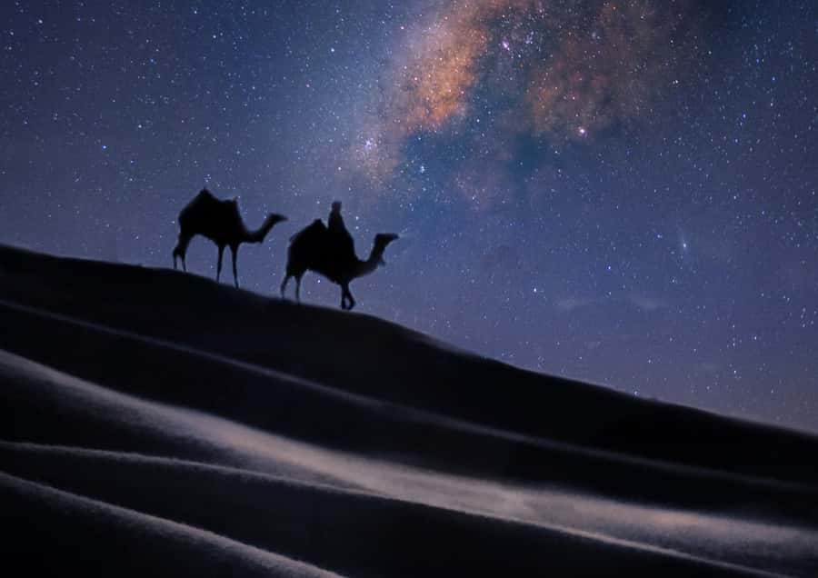 Doha: Night Desert Safari with Stargazing & Camel Ride - What to wear and what to bring
