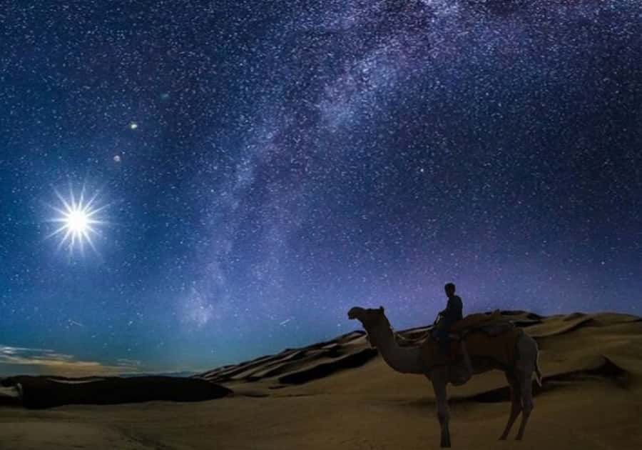 Doha: Night Desert Safari with Stargazing & Camel Ride - A 20-minute camel stop with Arabic tea