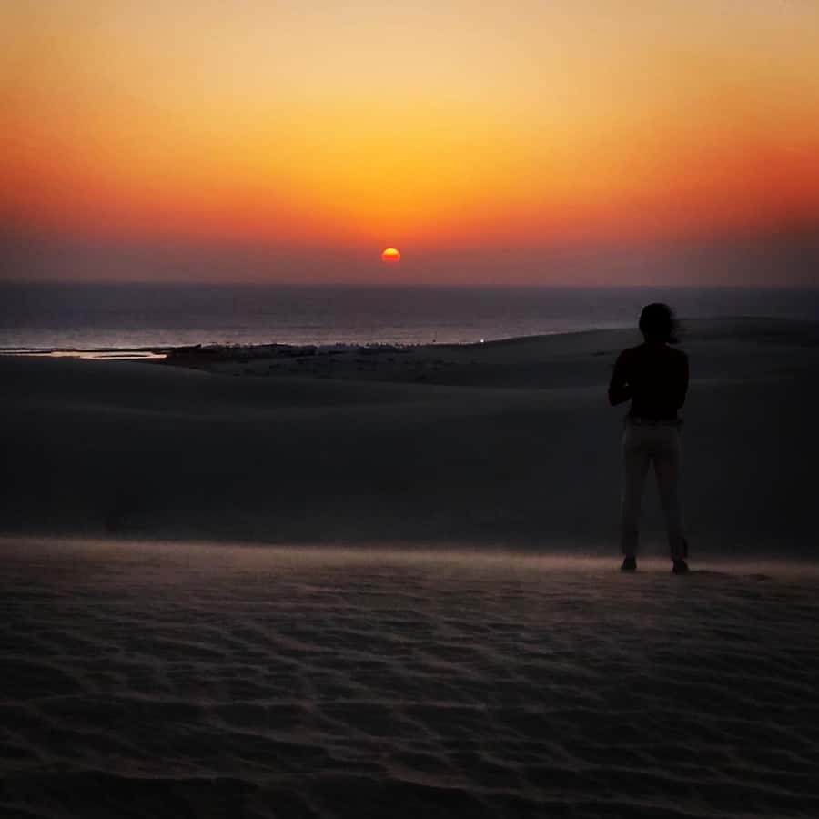 Doha: Night DesertSafari DuneBashing Sandboarding CamelRide - Moonlit photo stops in the open desert