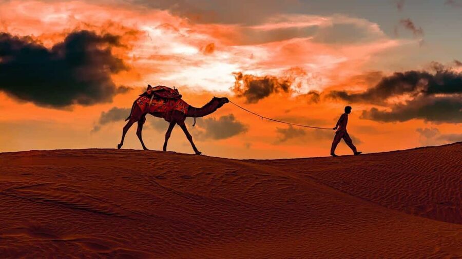 Doha: Night safari & STARGAZING-free camel ride, falcon, ATV - Big dunes and three photo stops