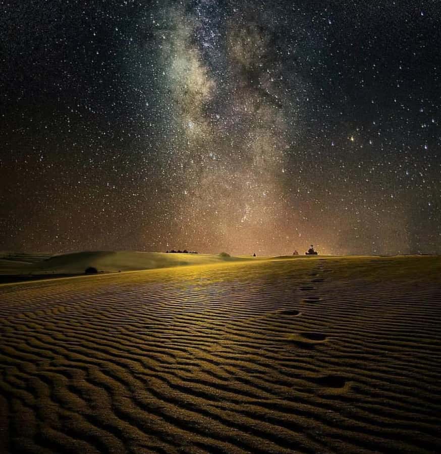 Doha: Night Safari with Dune Bashing and Camel Ride - The 45-minute 4x4 ride through the dunes