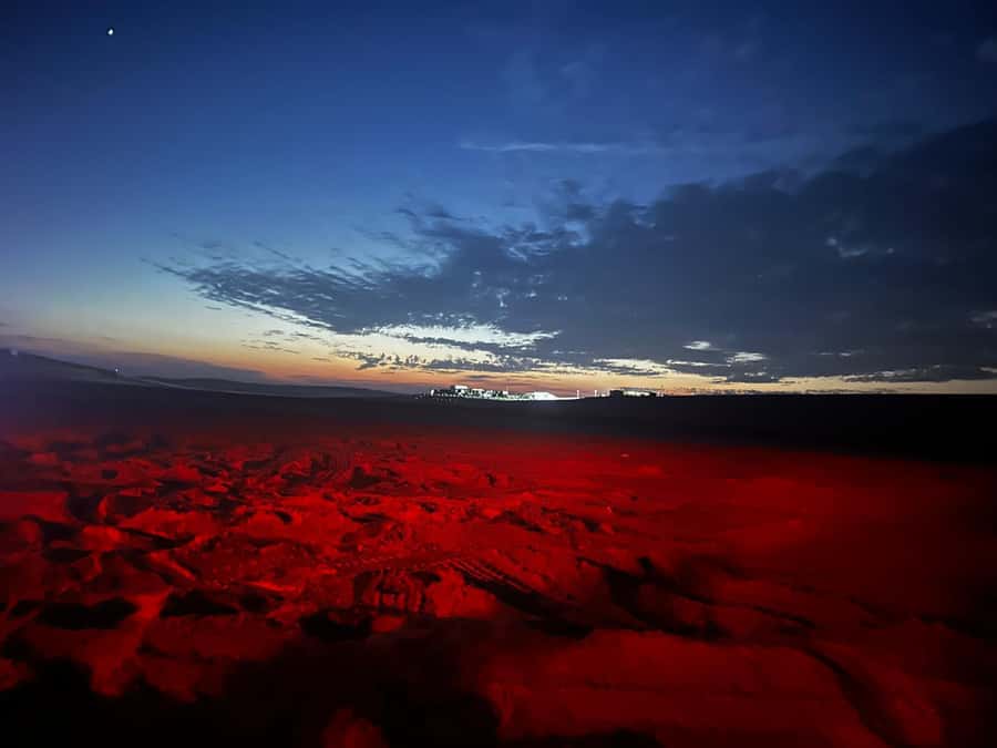 Doha: Night Safari with Dune Bashing and Camel Ride - Who should book, and who should skip it