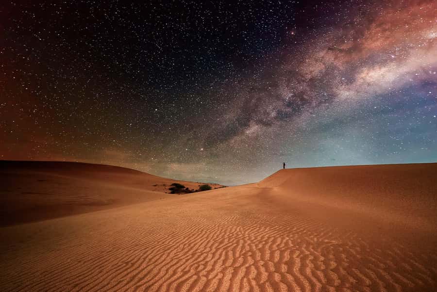 Doha: Nighttime Desert Safari with Dune Bashing & Camel Ride - Sandboarding and Photo Stops Near Ash Shaqra