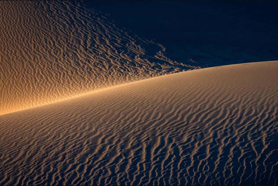 Doha: Nighttime Desert Safari with Dune Bashing & Camel Ride - Is $24 a Fair Price?