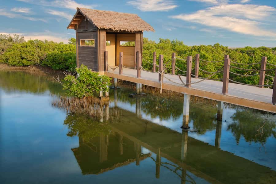Doha North Qatar Tour Zubara Fort, Mangroves, Jumail Village - Key points before you book