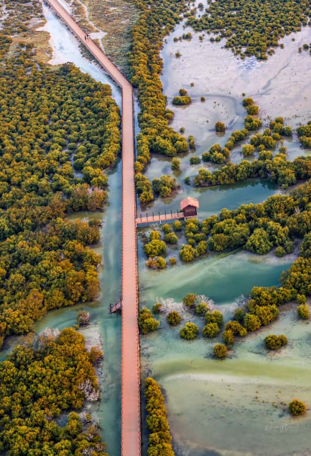 Doha North Qatar Tour Zubara Fort, Mangroves, Jumail Village - The 50-minute ride from Doha to Al Khor