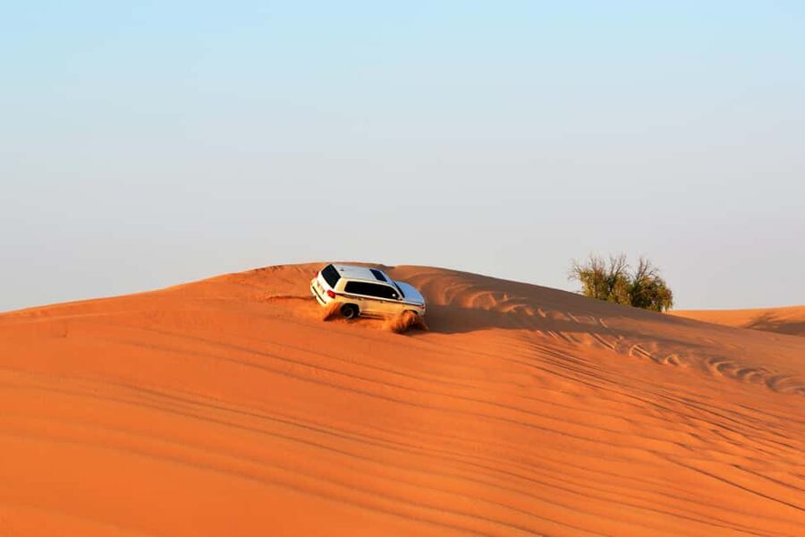 Doha Overnight Desert Safari BBQ, Food & Camp Stay Adventure - What the $349 price really buys you