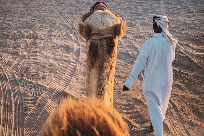 Doha Overnight Desert Safari dinner/breakfast included - From Doha to Sealine Beach