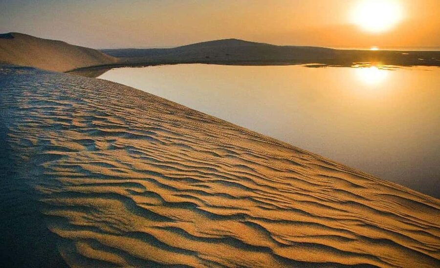 Doha: Private City and Desert Safari (Combo Tour Plan) - One day, two very different Qatars