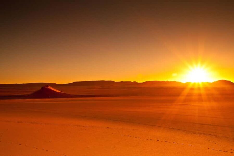 Doha: Private City and Desert Safari (Combo Tour Plan) - Al Wakra and the FIFA stadium
