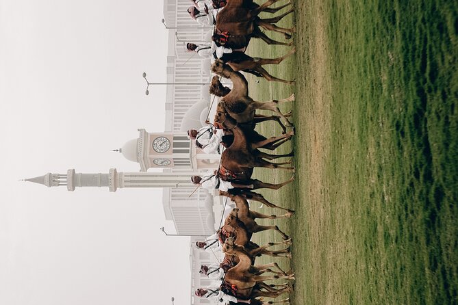 Doha Private City Tour - Transport, guides, and the private format
