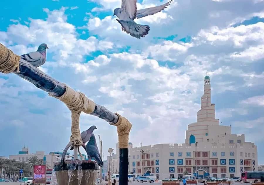 Doha Private City Tour with Transit & Layover from Airport - Who should book this Doha tour?