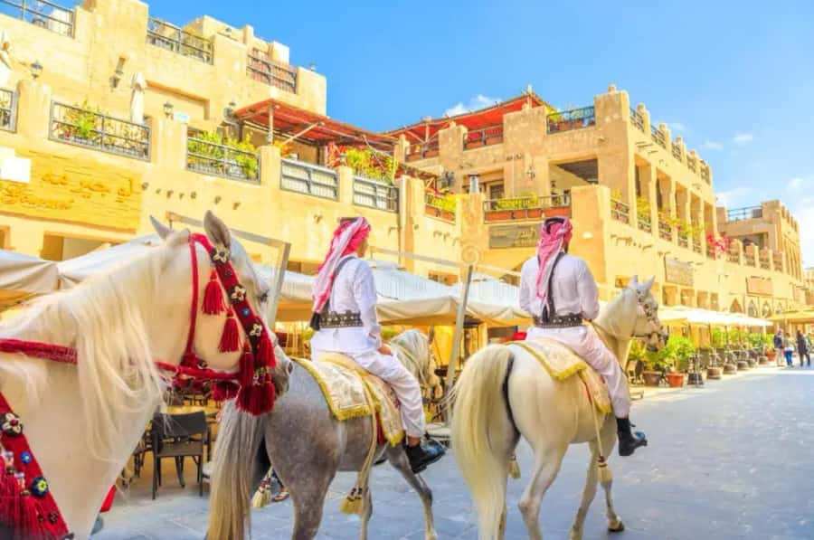 Doha Private City Tour with Transit & Layover from Airport - Katara Cultural Village: art, design, and public space