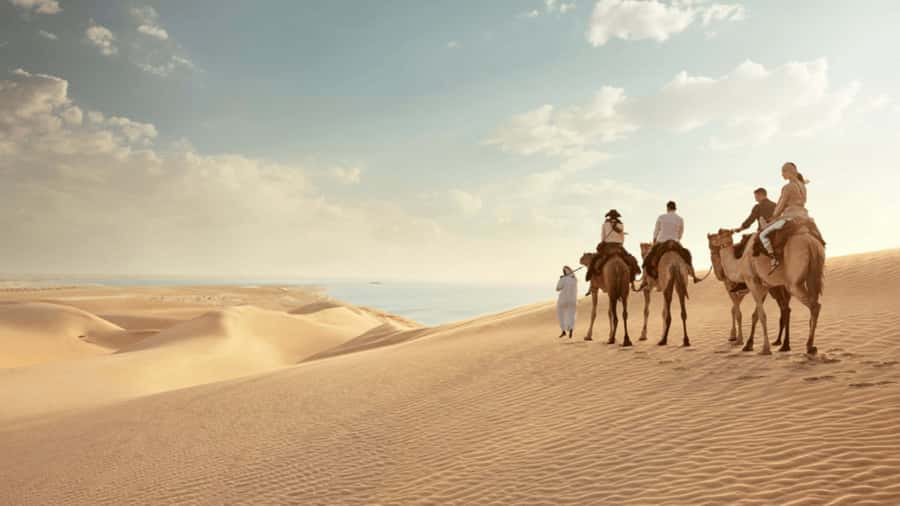 Doha: Private Combo City Tour with Desert Safari - The National Museum of Qatar in 50 minutes