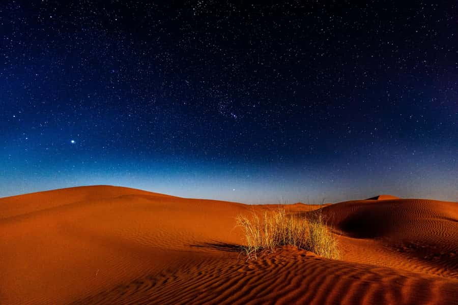 Doha: Private Desert Safari at Night with Stargazing - Tea, camels, and a short stop in Mesaieed
