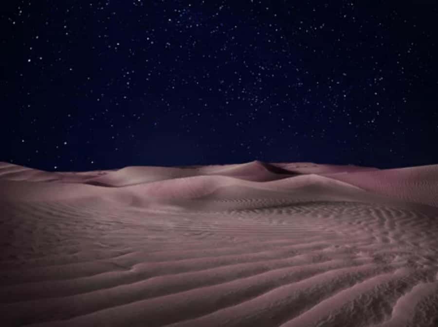 Doha: Private Desert Safari at Night with Stargazing - Who should book this private safari?