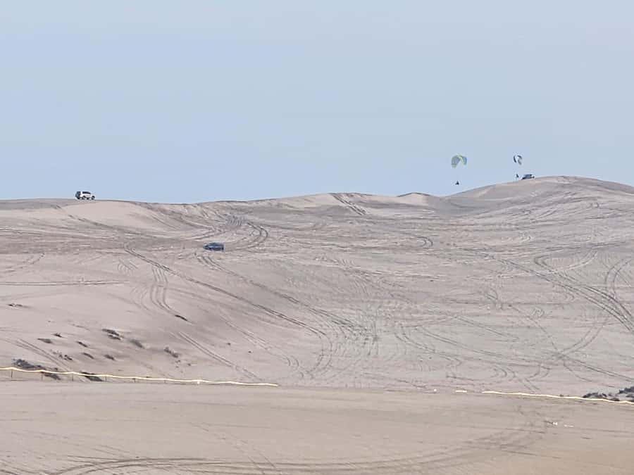 Doha:Private Desert Safari, Falcon, Sandboarding,inland sea - The Inland Sea: where the trip earns its name