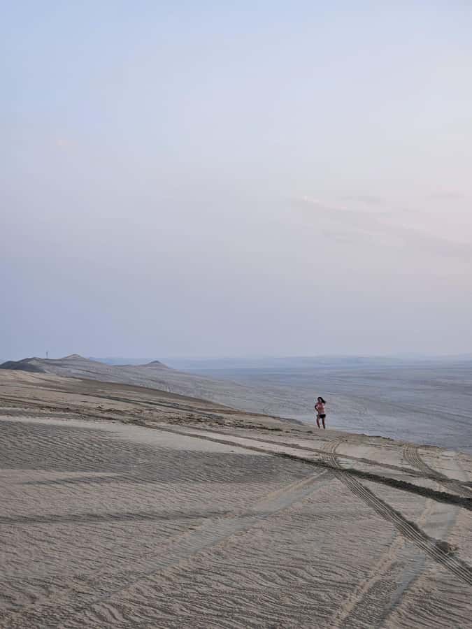 Doha:Private Desert Safari, Falcon, Sandboarding,inland sea - Guides make the difference