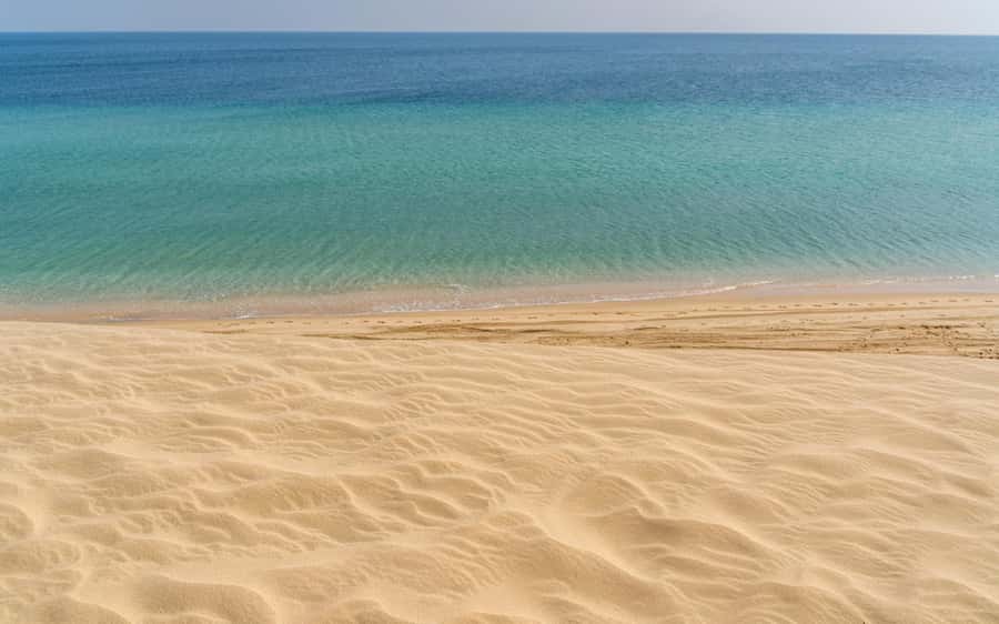 Doha Private Desert Safari, inland sea, sand boarding - Key points to know before booking
