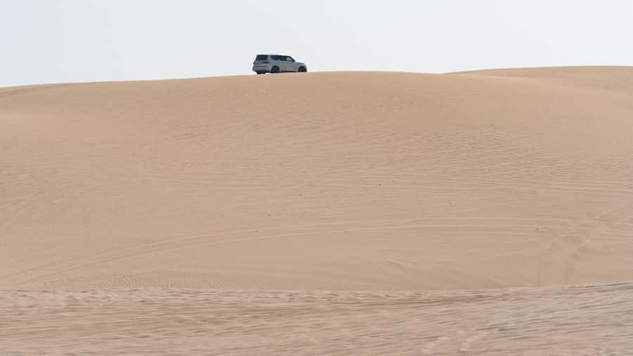 Doha Private Desert Safari, inland sea, sand boarding - Tea, coffee, and the camel stop