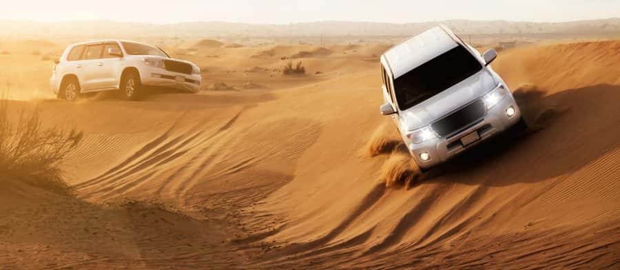 Doha : Private Full-day Combo City Tour & Desert Safari - Your guide can shape the quality of the day