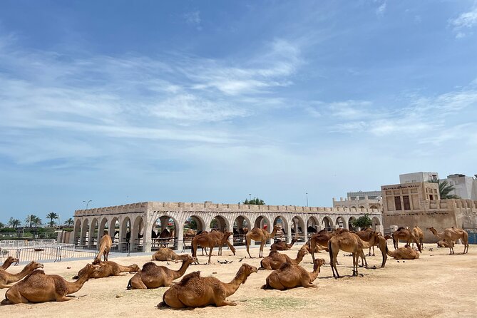 Doha Private Guided City Tour With Airport Transfer - Souq Waqif: the tour’s most rewarding stop