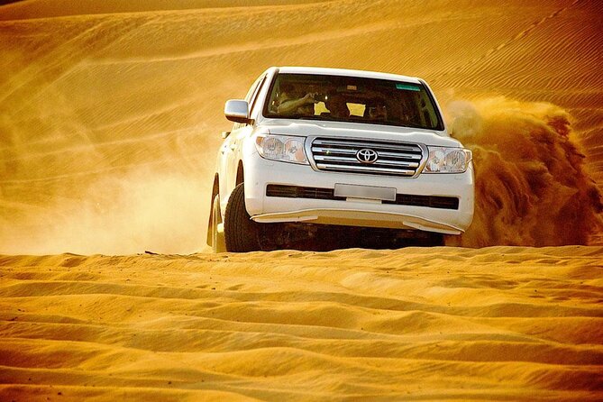 Doha: Private Half Day Desert Safari Tour in Qatar - Mesaieed: camels, falcons, tea, and a useful pause