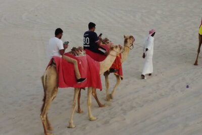 Private Half Day Safari with Horse Ride/Camel Ride/sandboard