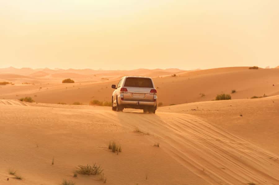 Doha: Private NIGHT desert safari with free camel ride - Tea at an Arabic tent