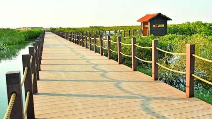 Doha : Private North of Qatar Tour, Zubara Fort & Mangroves - Al Thakira Mangroves and Purple Island
