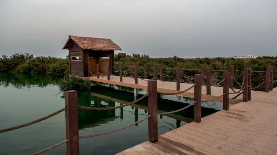 Doha : Private North of Qatar Tour, Zubara Fort & Mangroves - Al Jumail, a village left behind