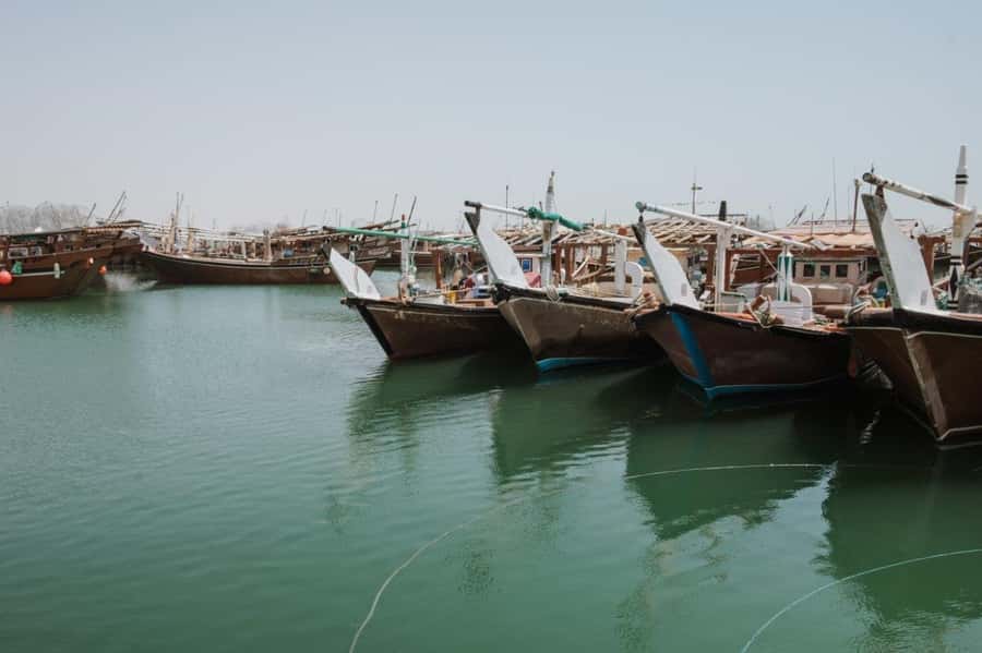 Doha : Private North of Qatar Tour, Zubara Fort & Mangroves - Who should choose this private tour?