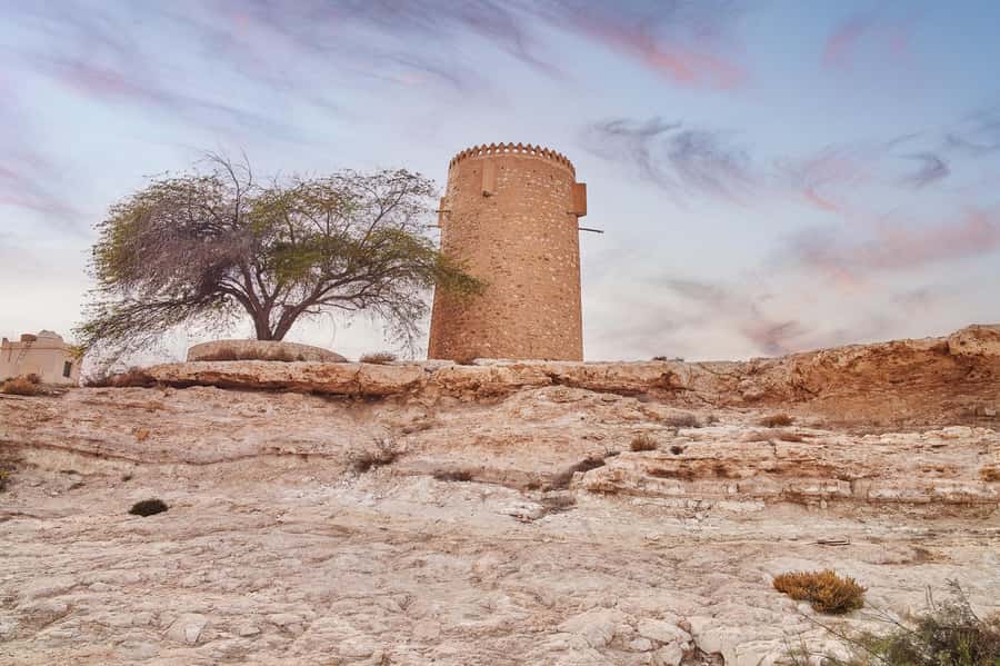 Doha : Private North of Qatar Tour, Zubara Fort & Mangroves - Starting from Doha, the port, or the airport