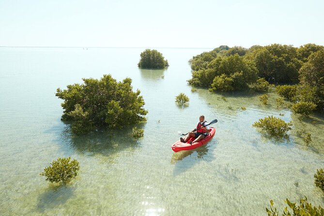 Doha Private North Qatar Tour, Mangroves and Al Zubarah Fort - Al Jumail: an abandoned village with a human story