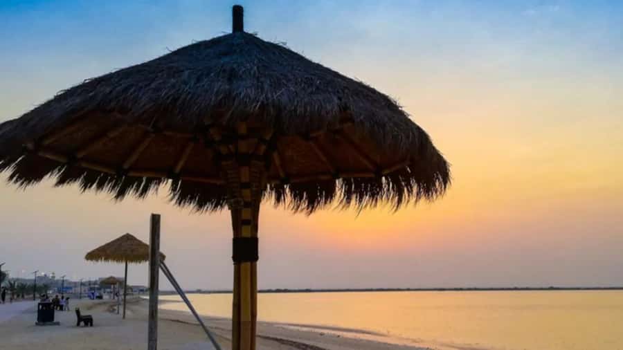 Doha: Private North Qatar Tour, Mangroves, & Zubara Fort - Why North Qatar is worth four hours