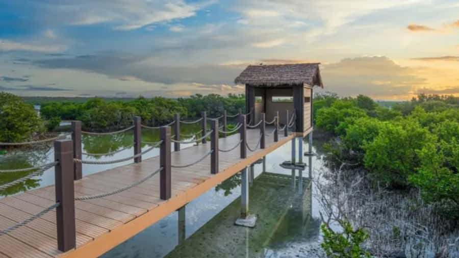Doha: Private North Qatar Tour, Mangroves, & Zubara Fort - Jumail, a quiet village left behind