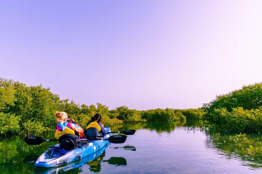 Doha: Private Purple Island Mangroves Kayaking Adventure - From Doha to Al Khor in 45 minutes