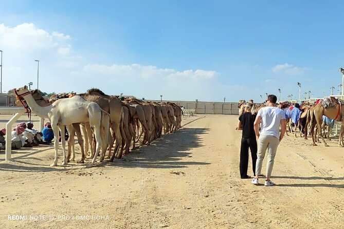 Doha, Qatar: Came Racing Track, Oryx & Sheikh Faisal Museum Tour. - How to decide if $120 is fair