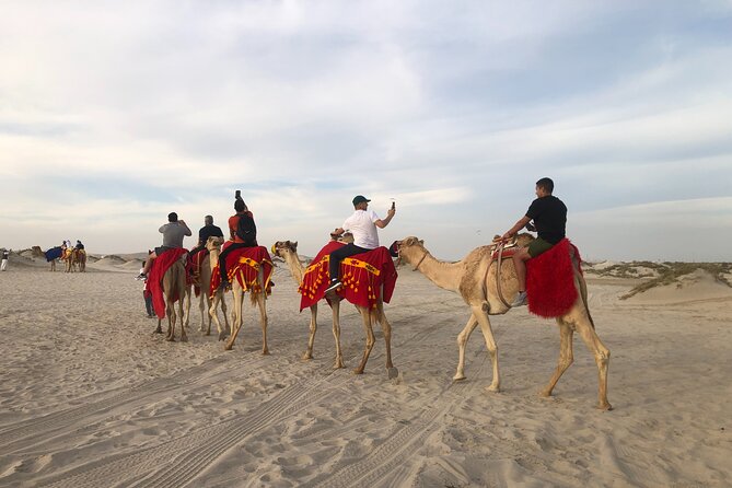Doha, Qatar: Doha Desert Safari & City - Full Day Private Tour. - The Corniche gives you Doha’s best first view